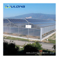 Multi Span Polycarbonate Greenhouses for Vegeatable Planting